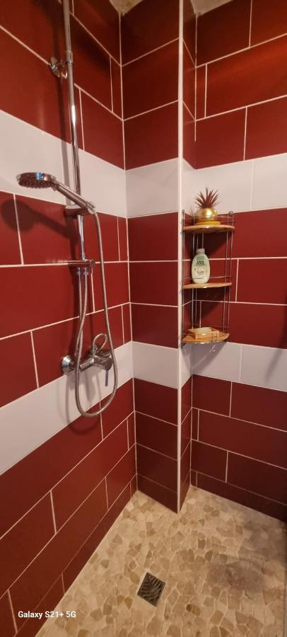 Appartement Rosa Solarium 97 à Sainte-Anne  Extérieur photo